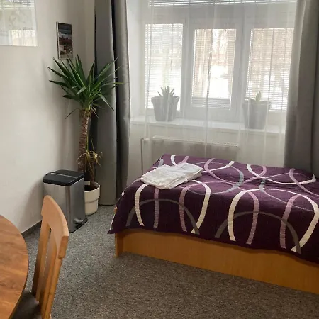 Grasel Guest house 3*