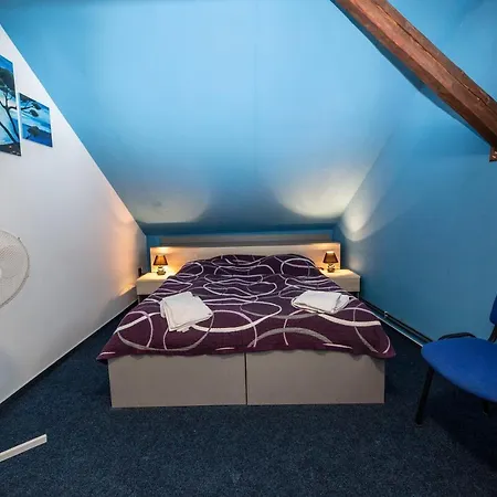 Guest house Grasel Nove Syrovice